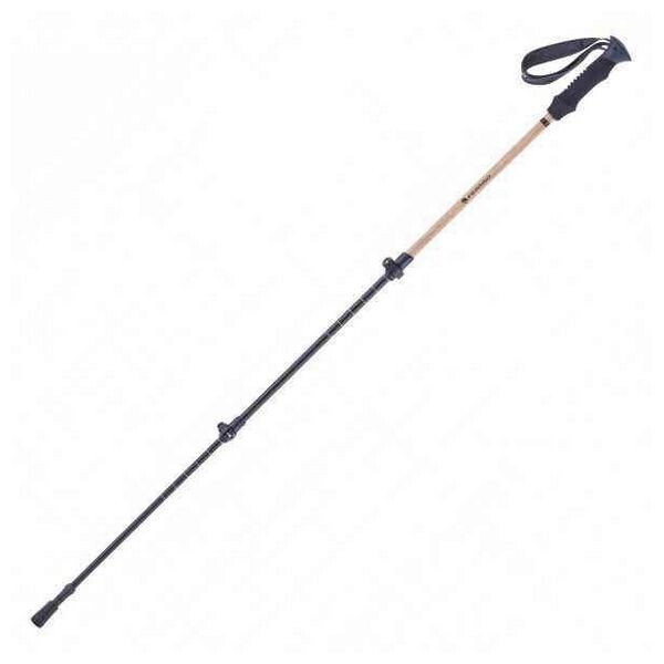 

Палки треккинговые Ferrino Diran EVA (924871)