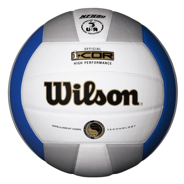 

Мяч волейбольный Wilson i-Cor High Performance SS18 (WTH7700XBLSI)