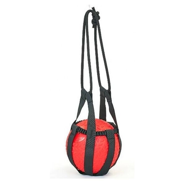 

Сумка тренировочная для медболов, слэмболов, волболов Tornado Ball Bag FI-5744
