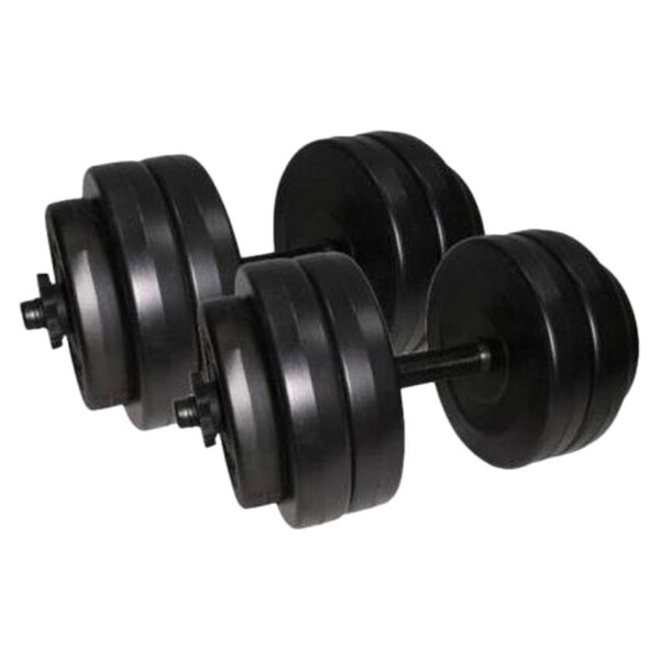 

Гантели наборные Newt Rock Pro 2 шт по 13 кг (NE-PL-G-013-2)