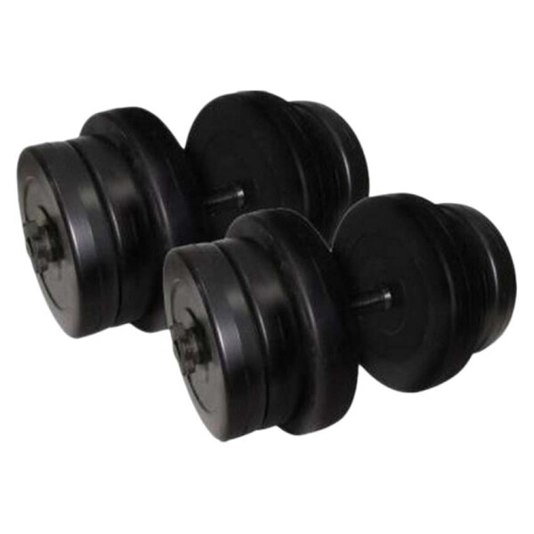 

Гантели наборные Newt Rock Pro 2 шт по 20,5 кг (NE-PL-G-020-2)