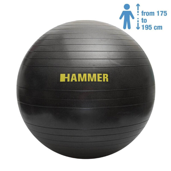 

Фитбол Hammer Gymnastics Ball Anti-Burst System (66408), 75см