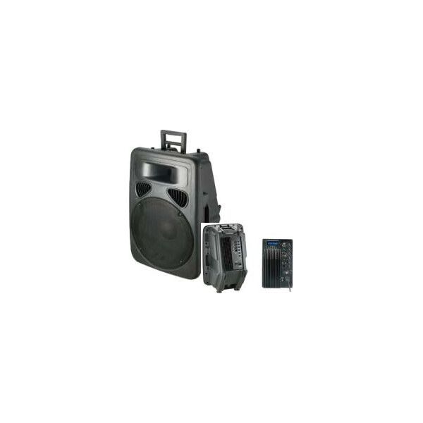 

Акустическая система PP1512A+MP3