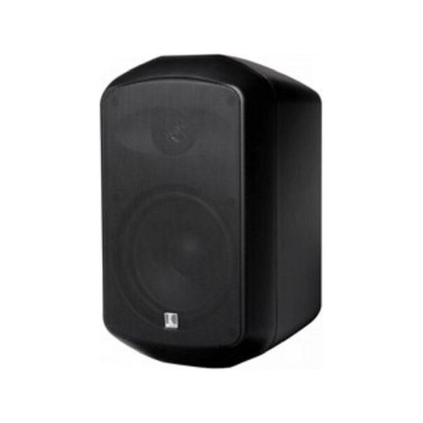 

Настенная акустическая система MS active 165 black