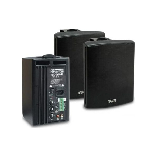 

Настенная акустическая система SDQ5P-BL
