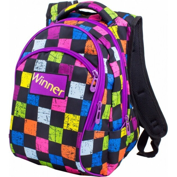 

Подростковый рюкзак для девочек 23 л Winner Stile (317)