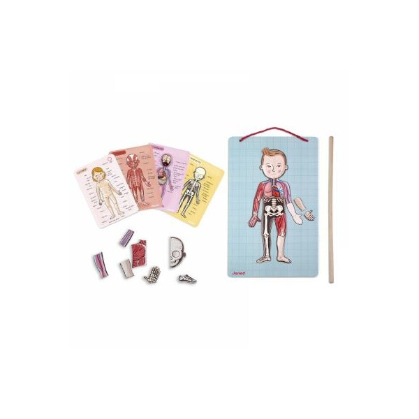 

Игровой набор Janod Тело человека (J05491)