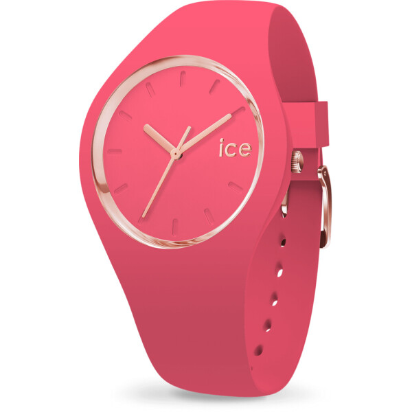 

Наручные часы Ice-Watch 015335