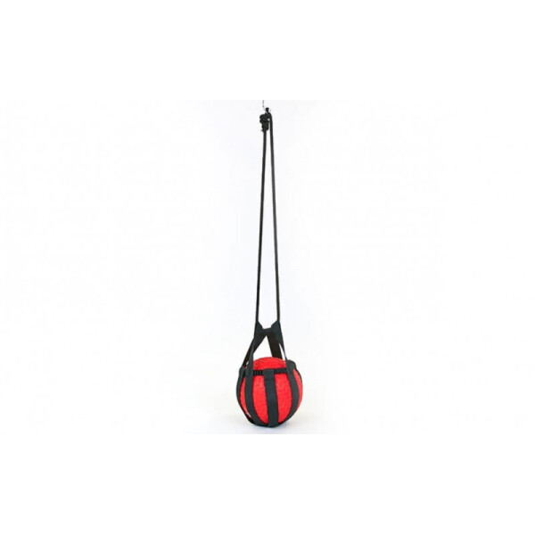 

Сумка тренировочная для медболов, слэмболов, волболов Tornado Ball Bag FI-5744 Black