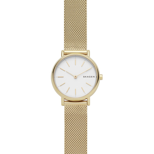

Наручные часы SKAGEN SKW2693