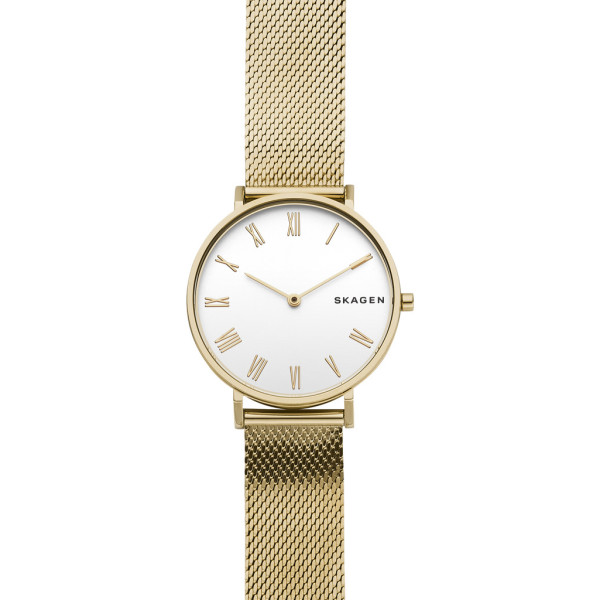 

Наручные часы SKAGEN SKW2713