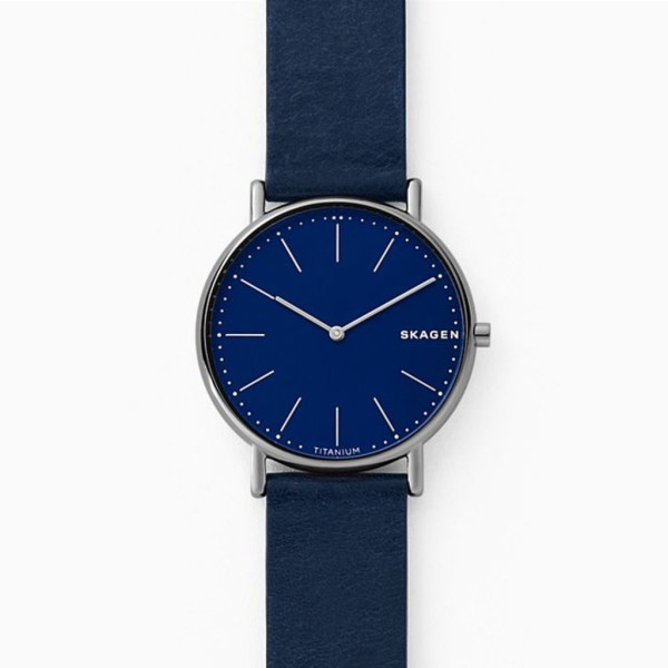 

Наручные часы SKAGEN SKW6481