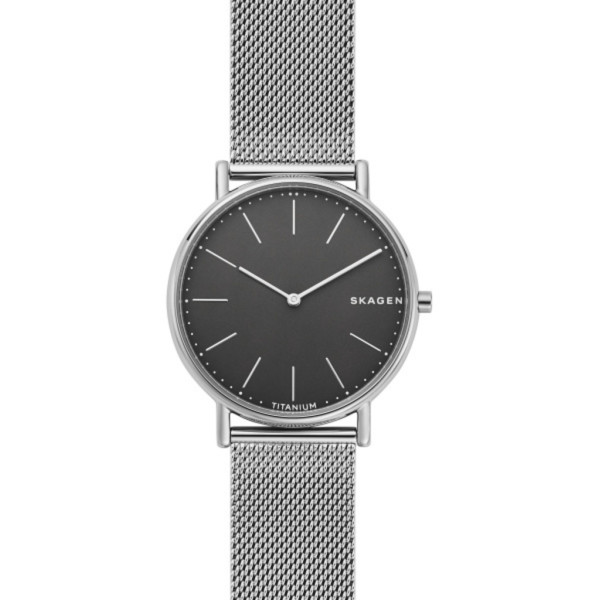 

Наручные часы SKAGEN SKW6483
