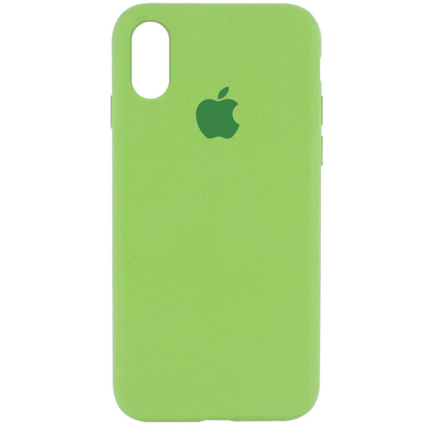 

Чехол Silicone Case Full Protective (AA) для Apple iPhone XR (6.1") Мятный / Mint (130987)