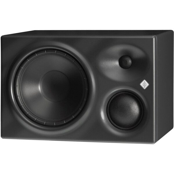 

Акустическая система Neumann KH 310 A R G (1 шт.)