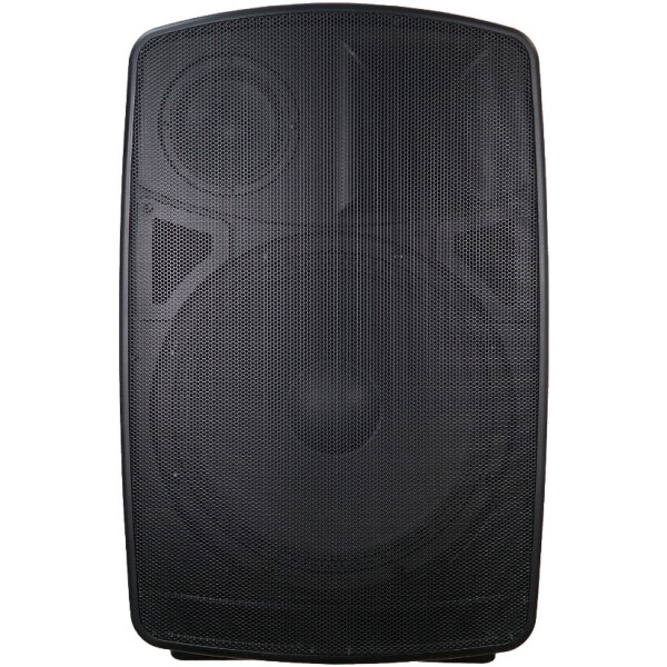 

Акустическая система Clarity MAX15F3 (1 шт.)