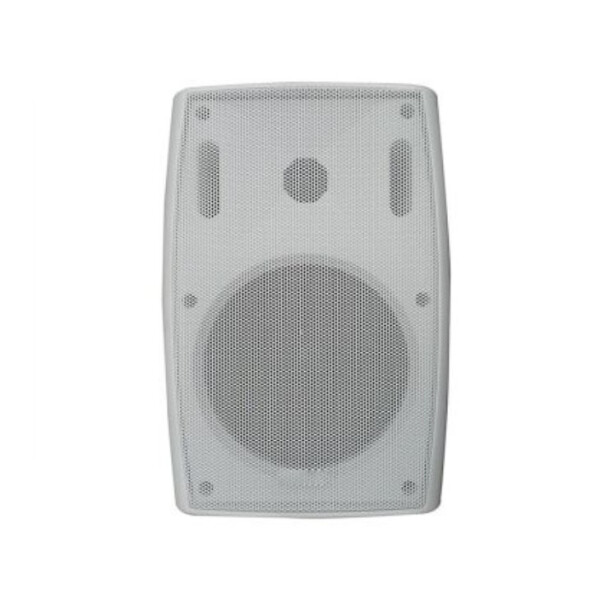 

Настенная акустическая система BIG MSB800 -100V WHITE