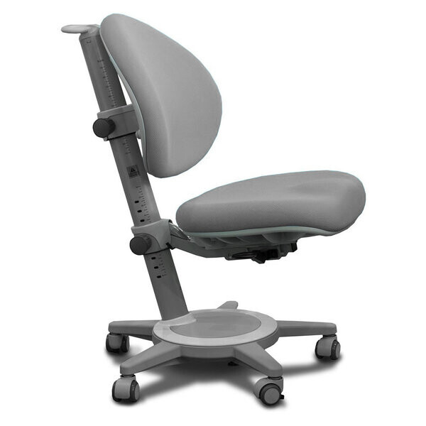 

Mealux Cambridge G (арт.Y-410 G)