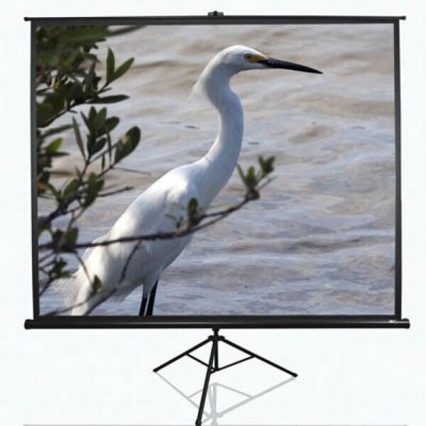 

Проекционный экран T84UWV1 ELITE SCREENS