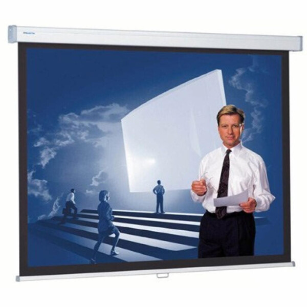 

Проекционный экран ProScreen CSR 154x240 см Projecta (10200236)
