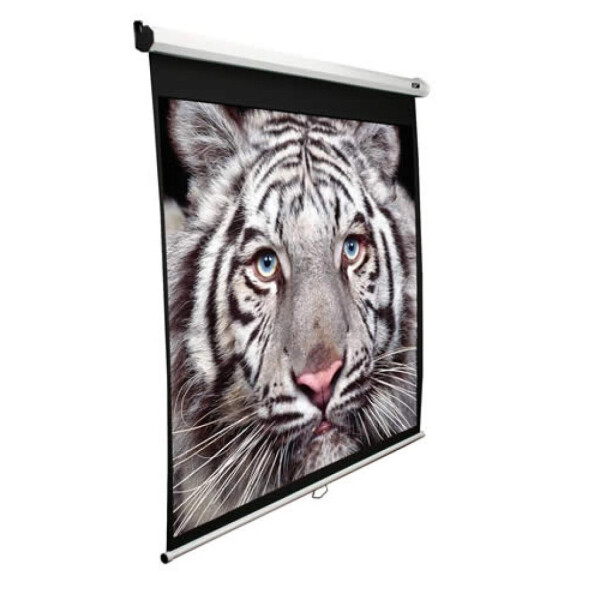 

Проекционный экран M99NWS1 ELITE SCREENS