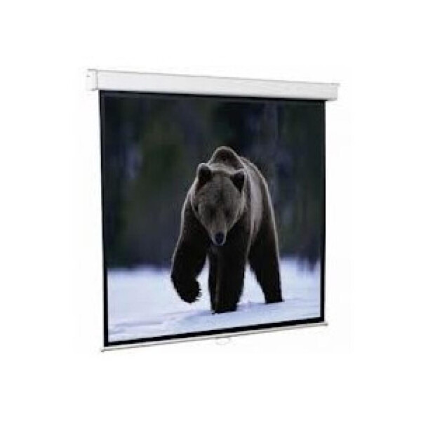

Проекционный экран Redleaf SGM-4302