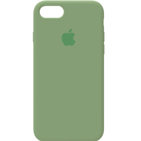 

Чехол Silicone Case Full Protective (AA) для Apple iPhone 7 / 8 / SE (2020) (4.7") Зеленый / Spearmint (is_00000032030_26)