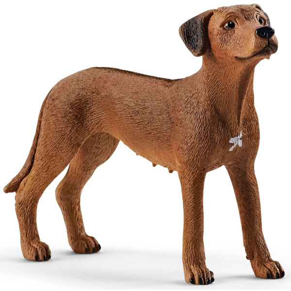 

Игрушка-фигурка Schleich Родезийский риджбек (13895)