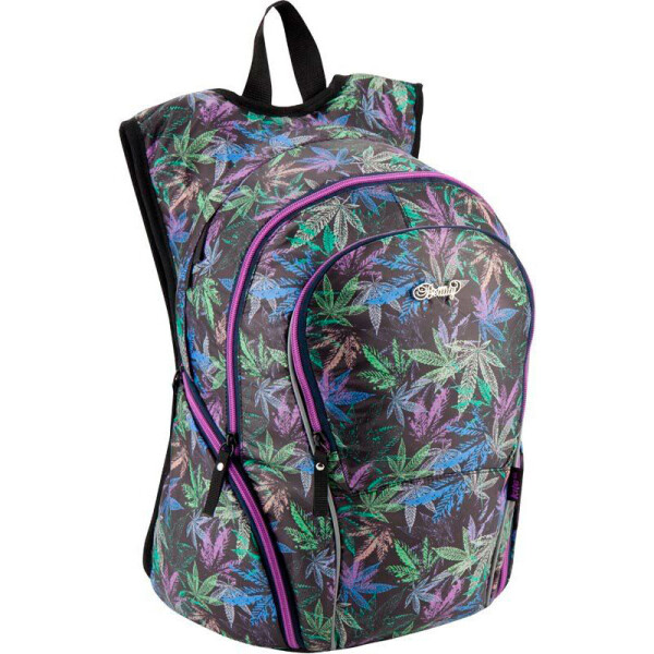 

Рюкзак Kite Кайт 953 Beauty 44×32×18 см 21 л фиолетовый (K19-731M-1)