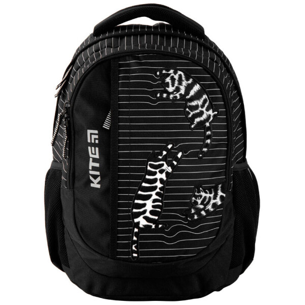 

Рюкзак Kite Кайт Education 855-3 40 × 30 × 17.5 см 19 л черный (k20-855m-3)