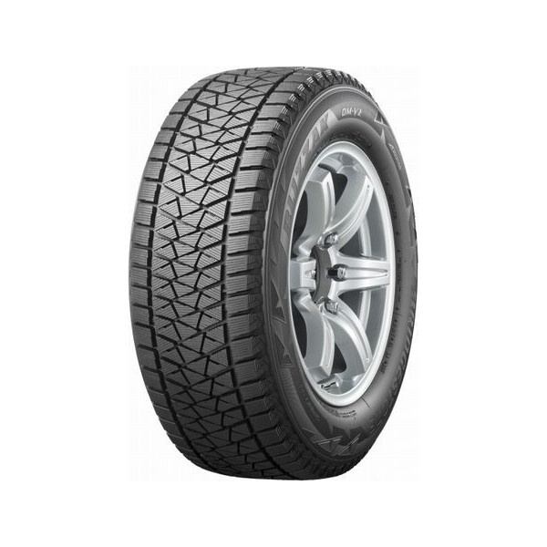 

Bridgestone Blizzak DM-V2 225/55 R19 99T