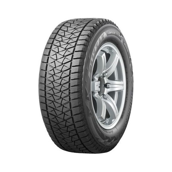 

Bridgestone Blizzak DM-V2 255/55 R19 111T