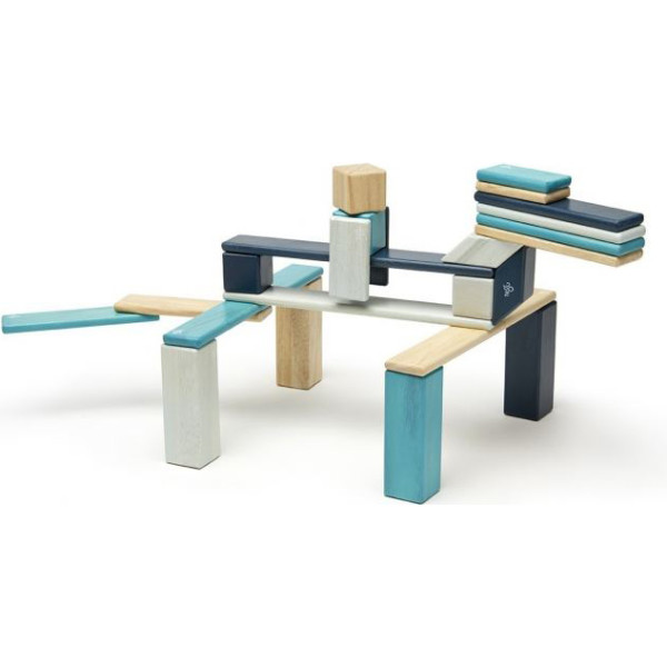 

Конструктор магнитный Tegu Базовый морской, 24 эл. (24P-BLU-508T)