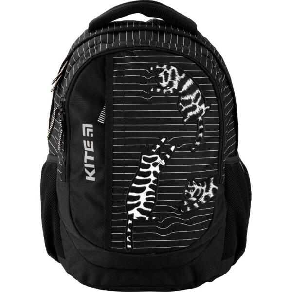 

Рюкзак Kite Education 855-3 K20-855M-3