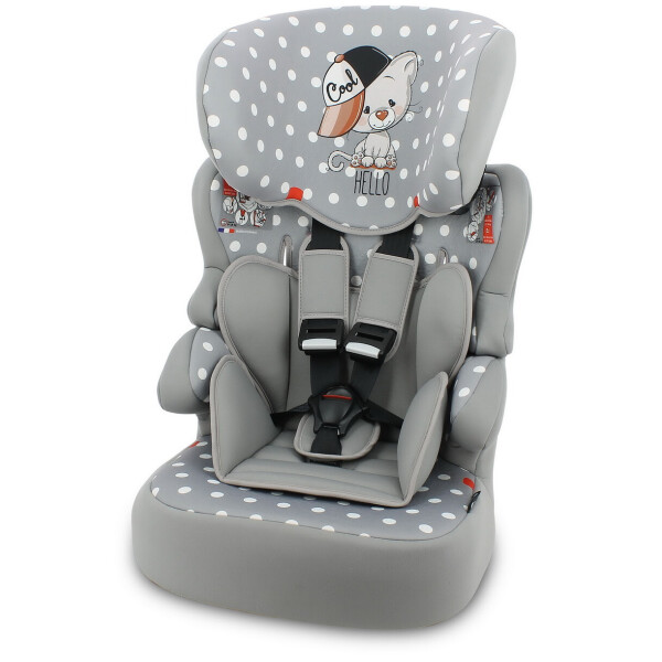 

Автокресло (X-DRIVE PLUS 9-36 KG GREY COOL CAT)