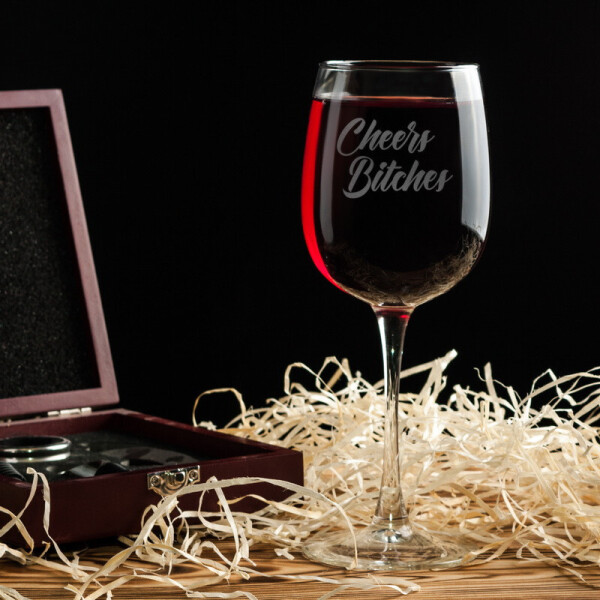 

Бокал для вина "Cheers bitches"