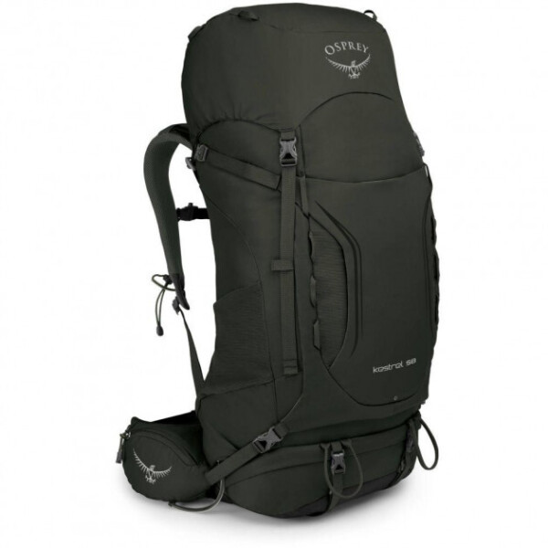 

Рюкзак Osprey Kestrel 58 Picholine Green - M / L - зеленый