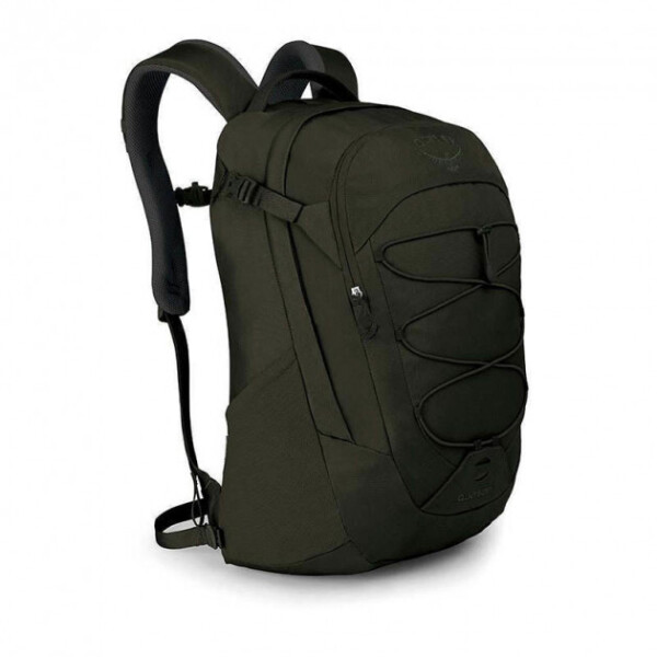 

Рюкзак Osprey Quasar (F19) Cypress Green - O / S - зеленый