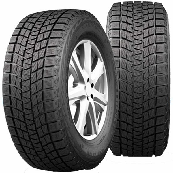 

KAPSEN RW501 IceMax 225/65R17 102T