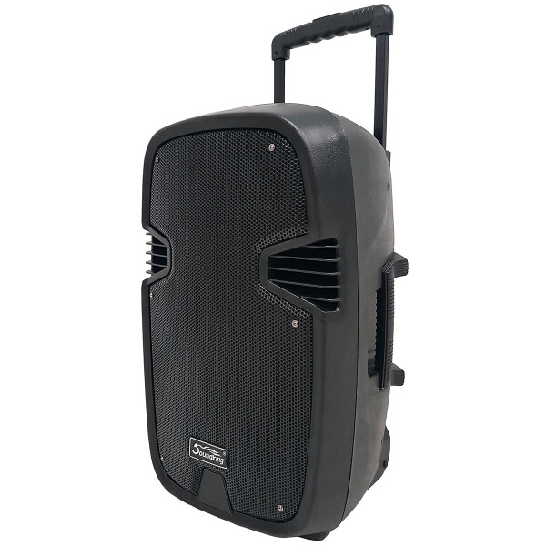 

Активная акустическая система SOUNDKING LS331BT