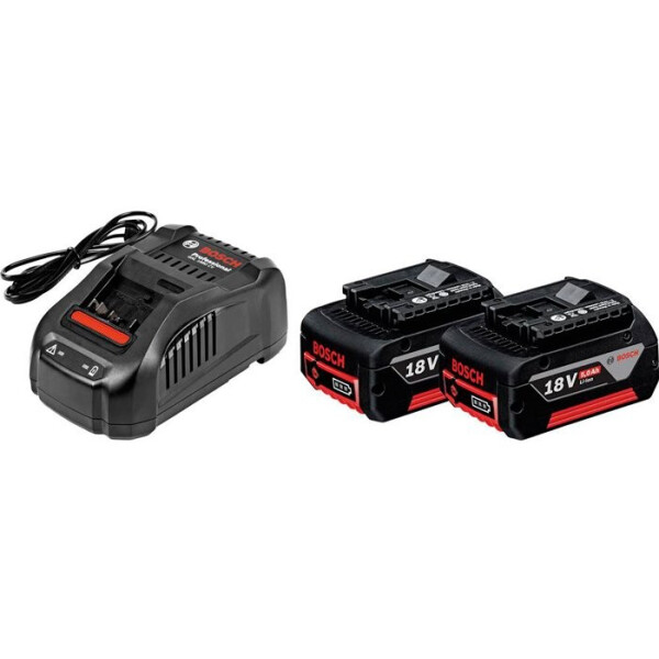 

Набор Bosch 2 аккумулятора GBA 18V 5,0 Ah + ЗУ GAL 1880 CV (1600A00B8J)