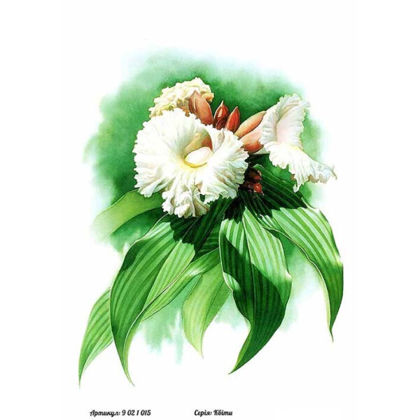 

Бумага для декупажа Alizarin 20 х 30 см Цветы (9021015)