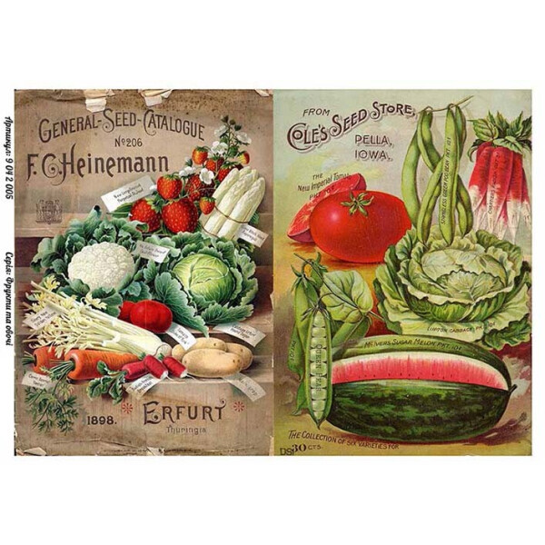 

Бумага для декупажа Alizarin 20 х 30 см Фрукты и овощи (9042005)