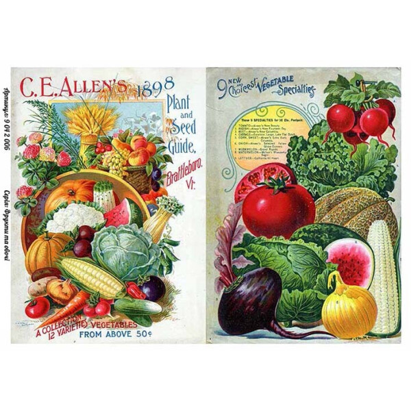 

Бумага для декупажа Alizarin 20 х 30 см Фрукты и овощи (9042006)