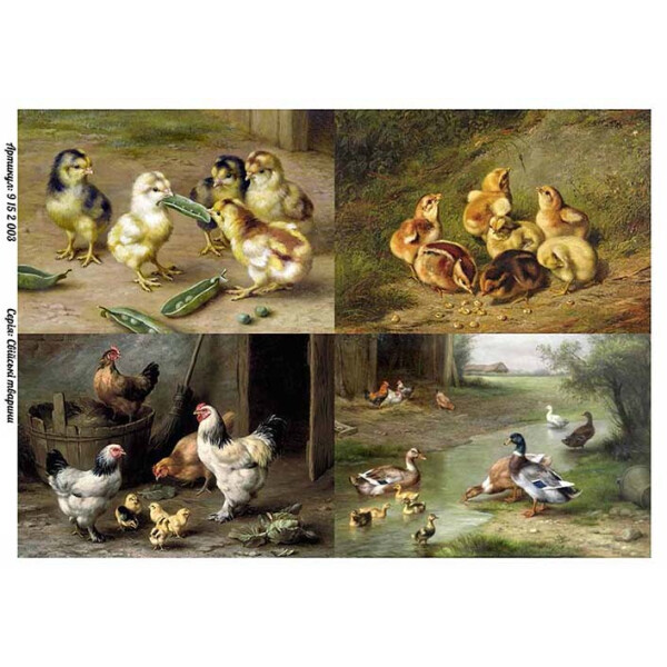 

Бумага для декупажа Alizarin 20 х 30 см Птицы и животные (9152003)