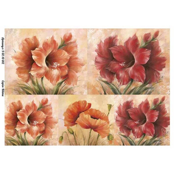 

Бумага для декупажа Alizarin 20 х 30 см Цветы (90210012)