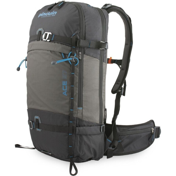 

Рюкзак Ace 27 2020 Black (PNG 340280)