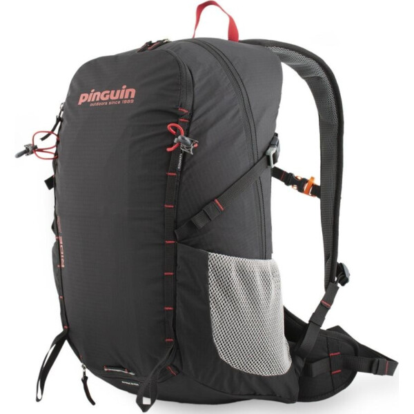 

Рюкзак Ride 19 2020 Black (PNG 327199)