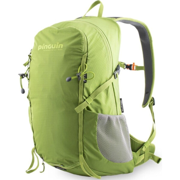

Рюкзак Ride 25 2020 Green (PNG 308143)