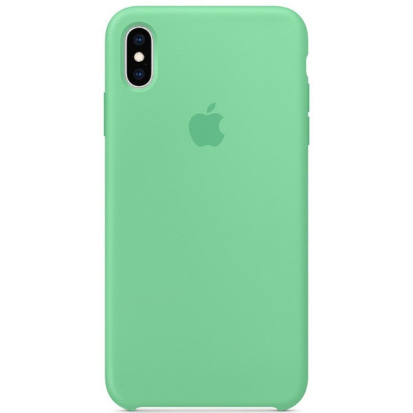 

Silicone case (A) для Apple iPhone X (5.8) / XS (5.8) (Зеленый / Mint) (748861)